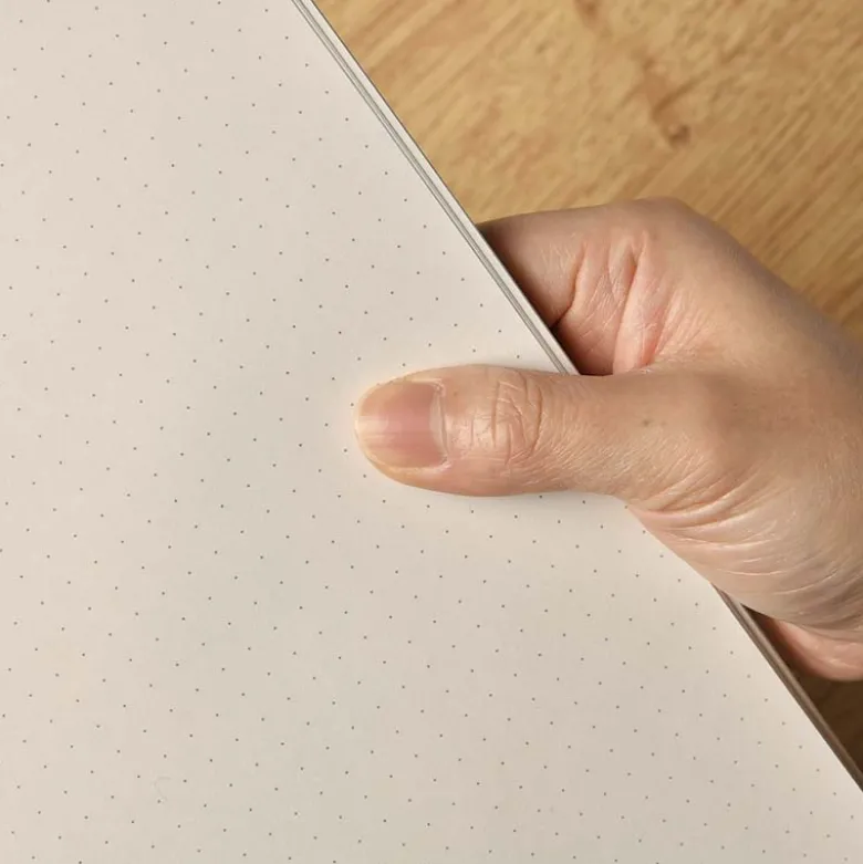 Apica | Cuaderno Premium B5 Silky Black (Puntos)