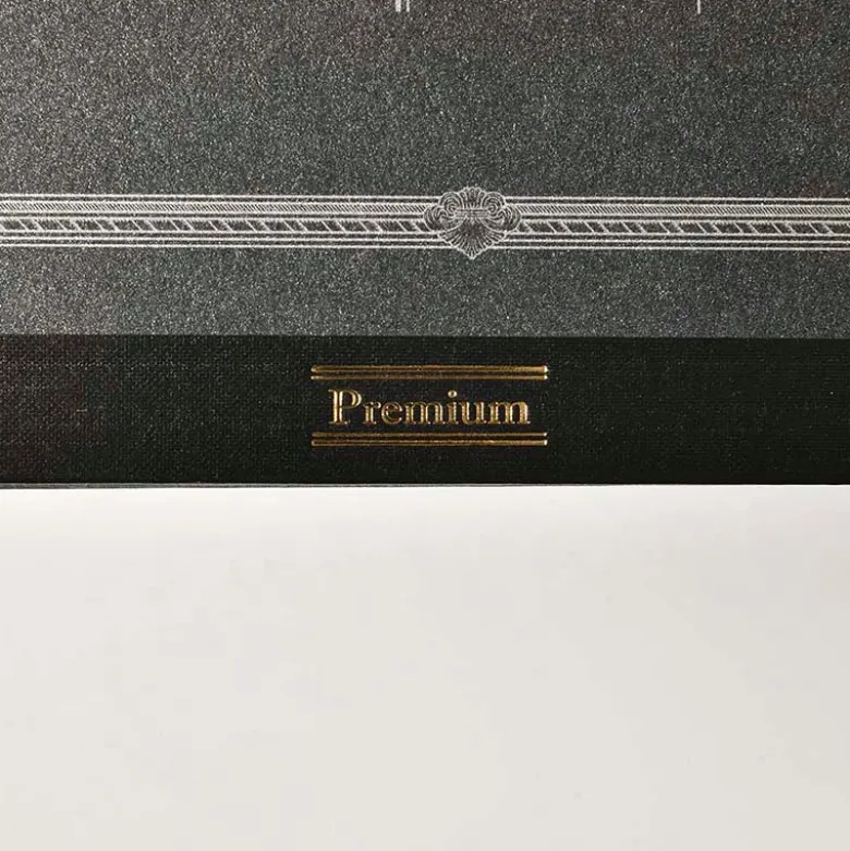 Apica | Cuaderno Premium B5 Silky Black (Puntos)