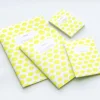 Apica | Libreta Hocco A6 Lemon