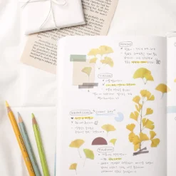 Appree | Pegatinas de Flores Prensadas Ginkgo
