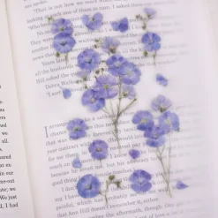 Appree | Pegatinas de Flores Prensadas Flax