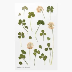 Appree | Pegatinas de Flores Prensadas Four Leaf Clover