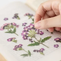 Appree | Pegatinas de Flores Prensadas Verbena