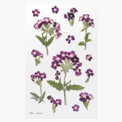 Appree | Pegatinas de Flores Prensadas Verbena