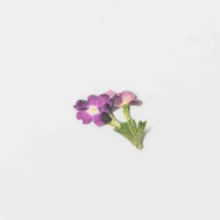 Appree | Pegatinas de Flores Prensadas Verbena