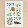 Cozyca | Postal Midori Asano Fleur