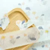 Dodolulu | Washi Tape Planting (1 metro)
