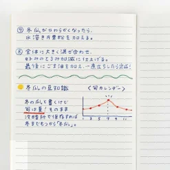 Hobonichi | Cuaderno Hobonichi Notebook A6 (Rayas)