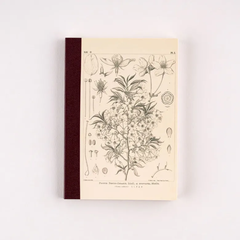 Hobonichi | Cuaderno Hobonichi Notebook A6 Tomitaro Makino (Cuadros)