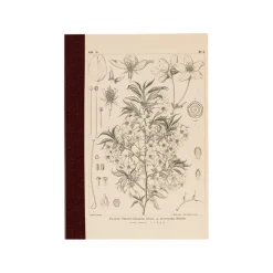 Hobonichi | Cuaderno Hobonichi Notebook A6 Tomitaro Makino (Cuadros)