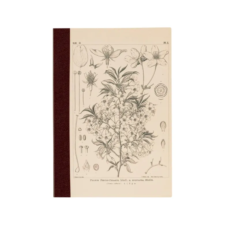 Hobonichi | Cuaderno Hobonichi Notebook A6 Tomitaro Makino (Cuadros)
