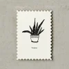 Katie Leamon | Postal Plants Bonjour