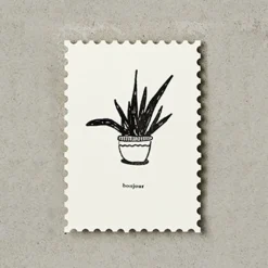 Katie Leamon | Postal Plants Bonjour