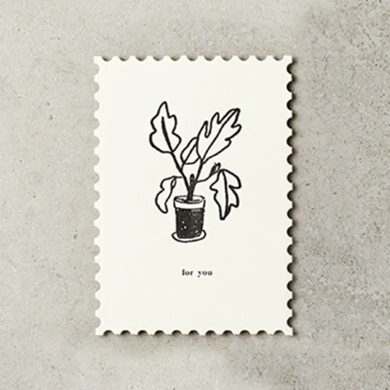 Katie Leamon | Postal Plants For You