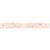 King Jim | SODA Transparent Pet Tape Uraraka (15mm)