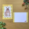 4Legs | Postal Rabbit in Spring