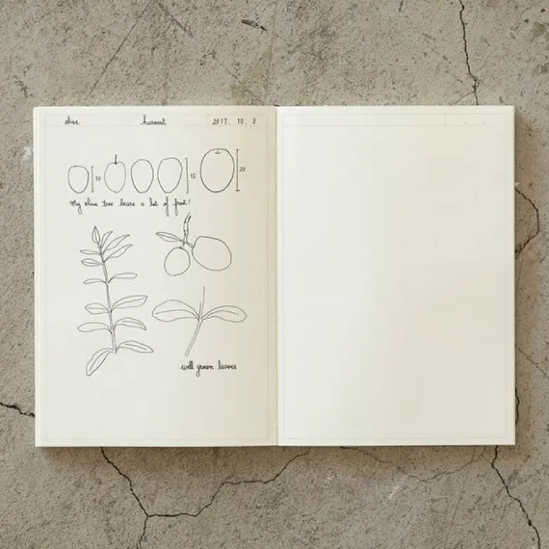 Midori | Cuaderno MD Midori Journal A5 Frame