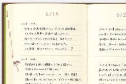 Midori | Diario Midori de 3 Años Brown