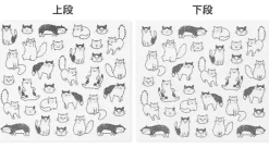 Midori | Pegatinas Chat Cat