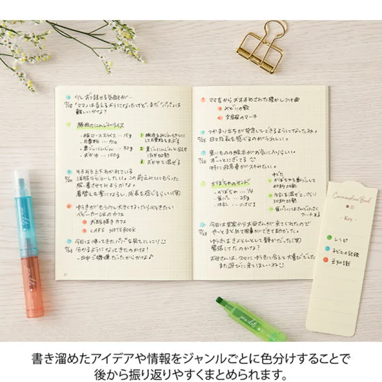 Midori | Rotulador Multicolor Connecting Pen Join Dots Bright