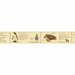 MT Masking Tape | Encyclopedia Marine Creature Washi Tape