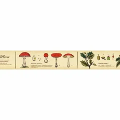 MT Masking Tape | Encyclopedia Plant Washi Tape